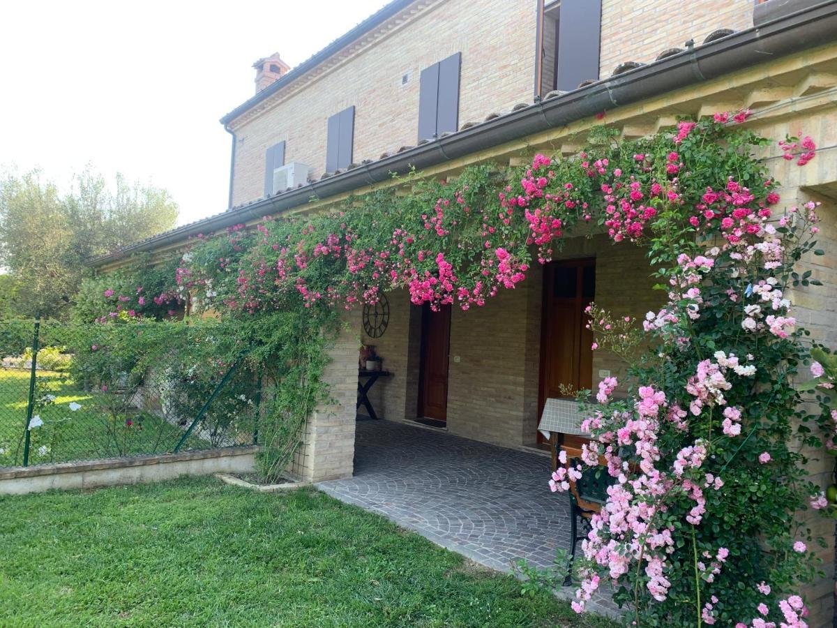 Guest House Vagamondo Fano Exterior foto